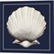 Coastal Shell with Border Navy by Avery Tillmon 14" x 14" Canvas Wall Art (Set of 2)